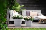 vibia campana square 30cm living concrete